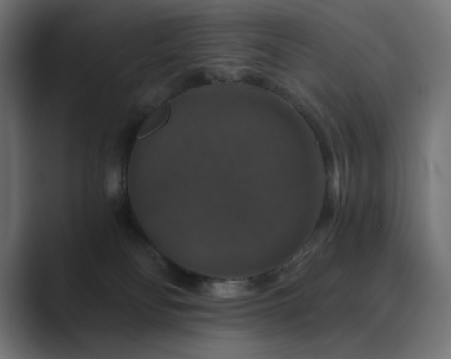 X0000089960134200706291236