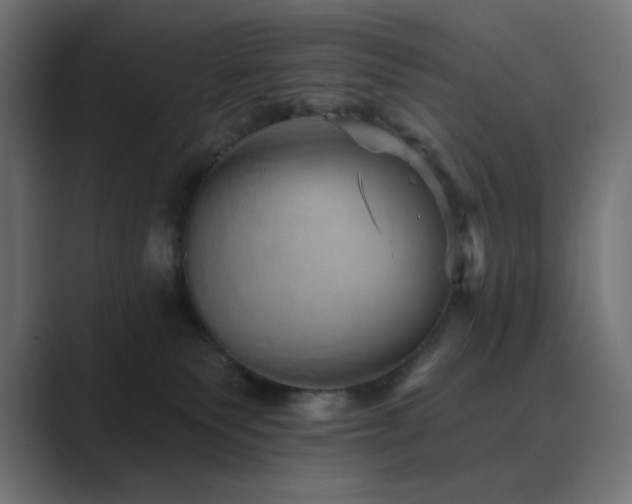 X0000089960135200706291236
