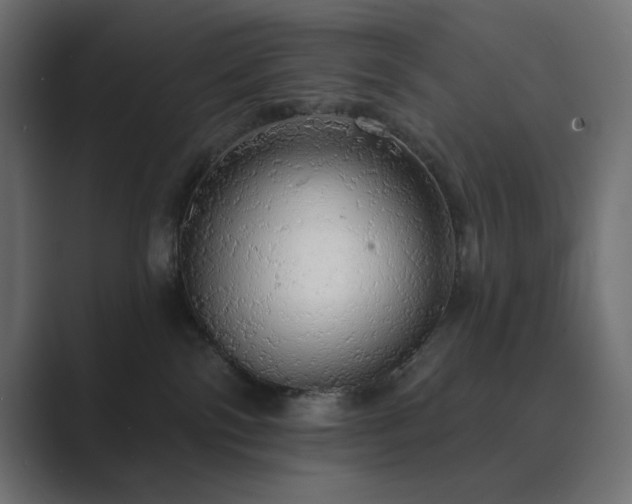 X0000089960138200706291236