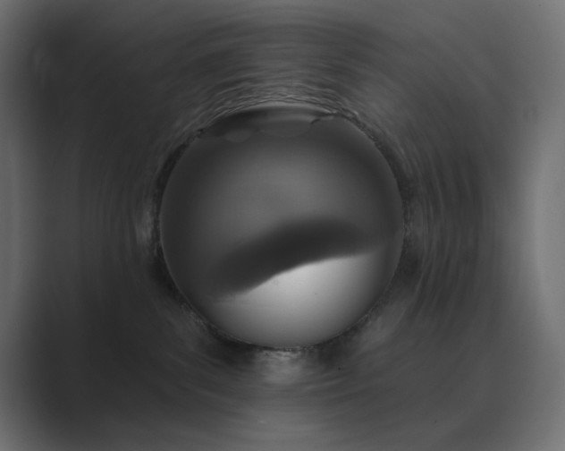 X0000089960139200706291236