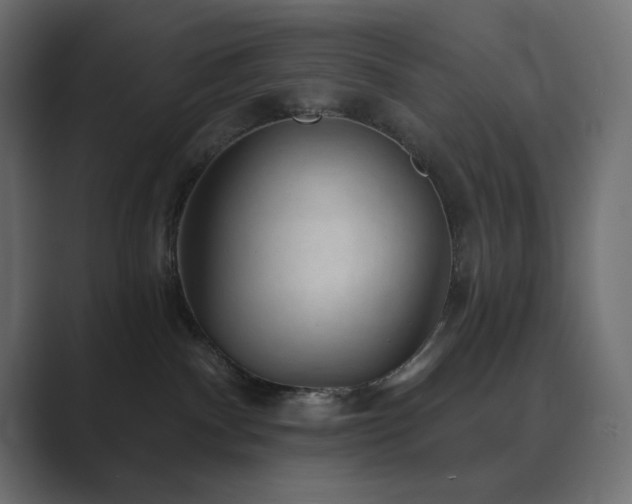 X0000089960140200706291236