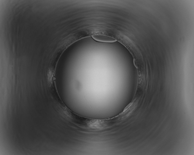 X0000089960142200706291236
