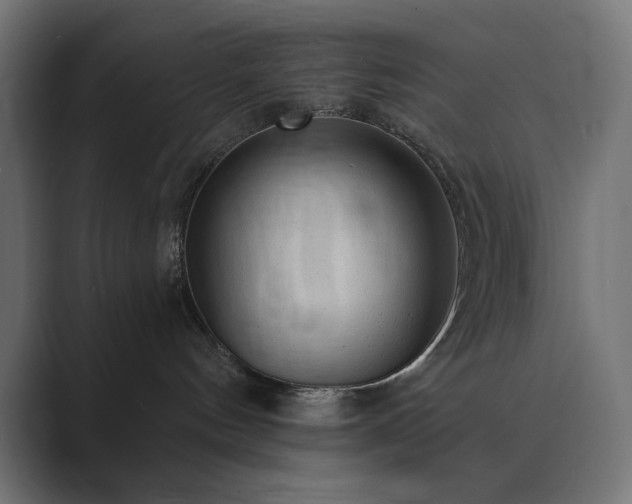 X0000089960144200706291236