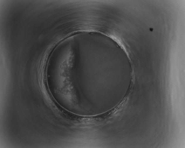 X0000089960145200706291235