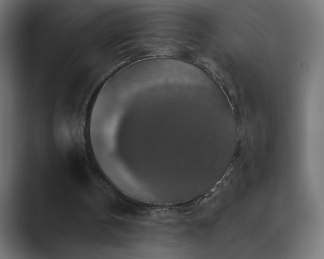 X0000089960146200706291235