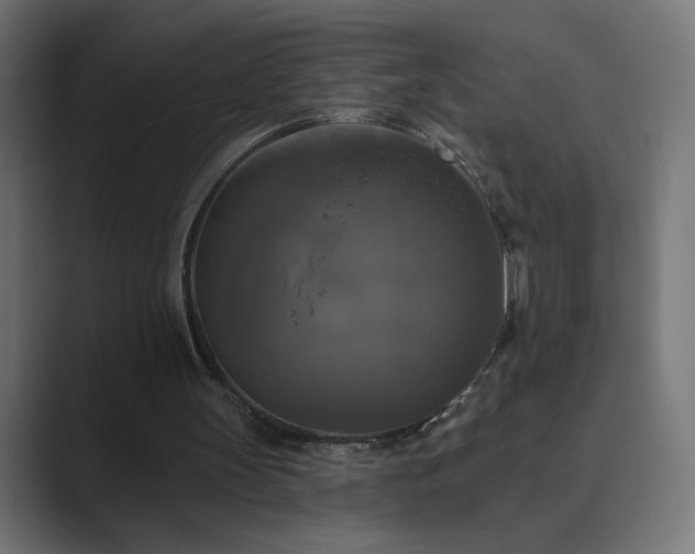 X0000089960147200706291235
