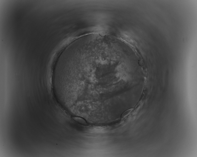 X0000089960149200706291235