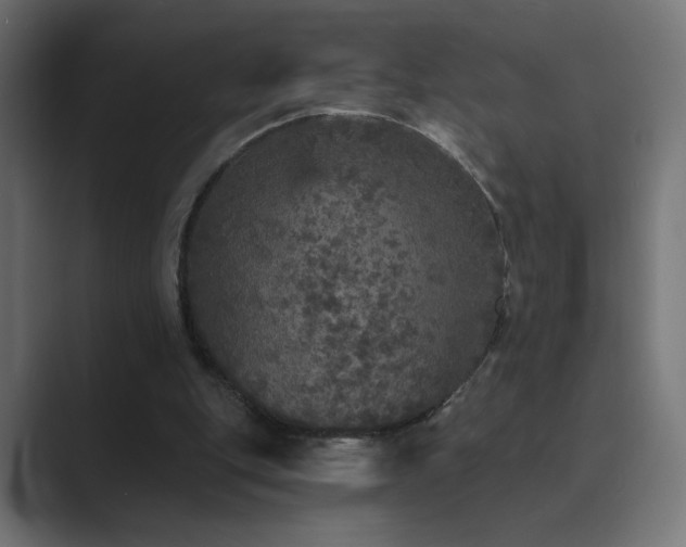 X0000089960151200706291235