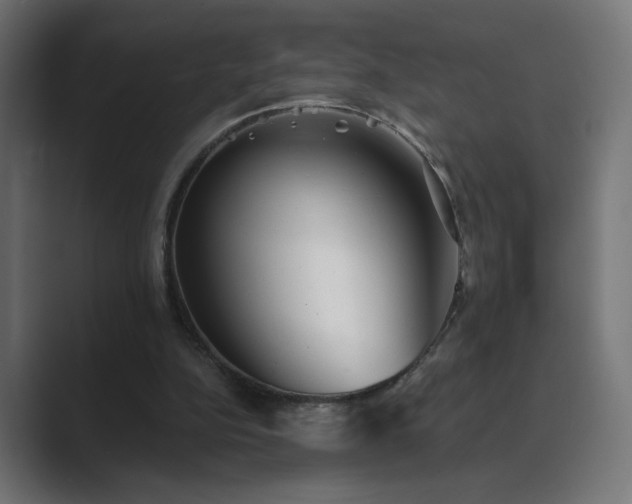 X0000089960152200706291235