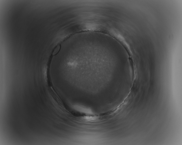 X0000089960154200706291235