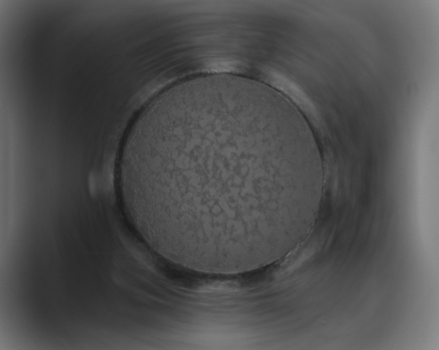 X0000089960155200706291235
