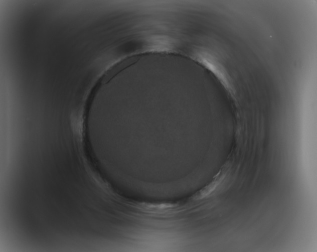 X0000089960156200706291235