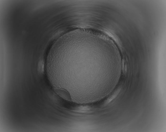X0000089960157200706291235