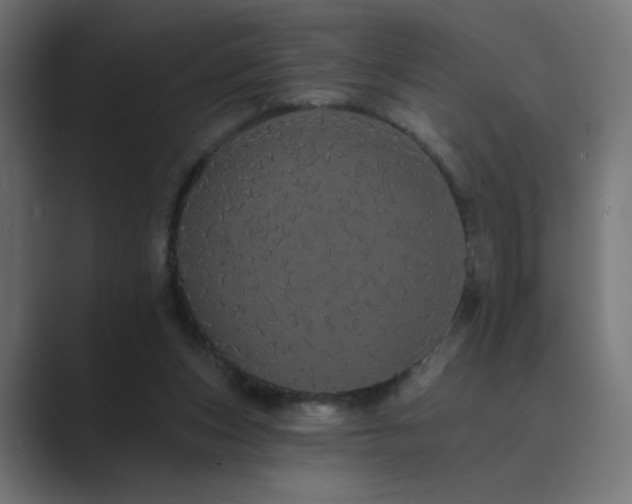 X0000089960159200706291235