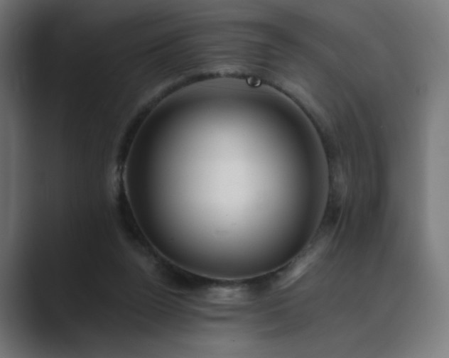 X0000089960160200706291235
