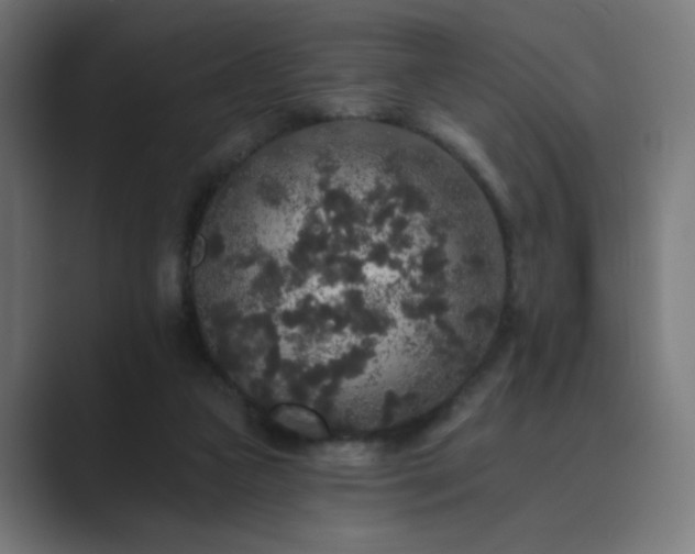 X0000089960161200706291235