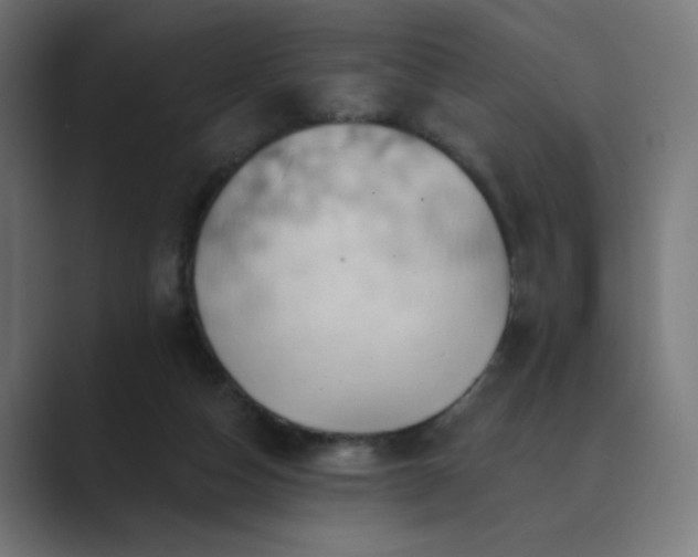 X0000089960162200706291235
