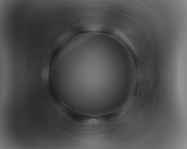 X0000089960163200706291236