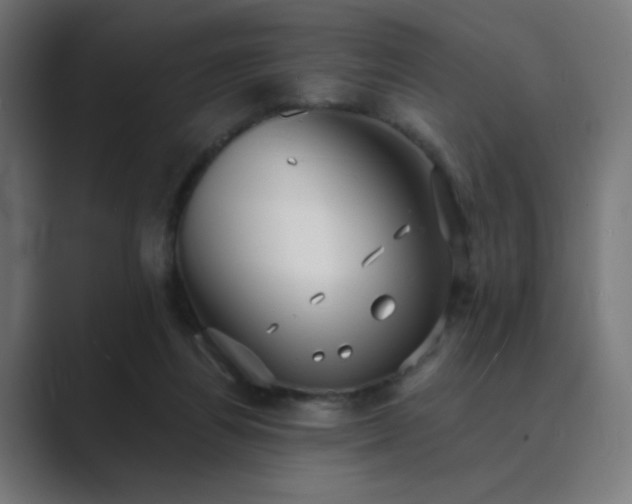 X0000089960164200706291236