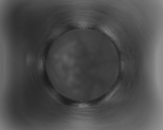 X0000089960165200706291236