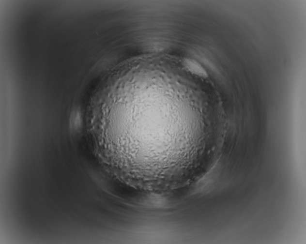 X0000089960166200706291236