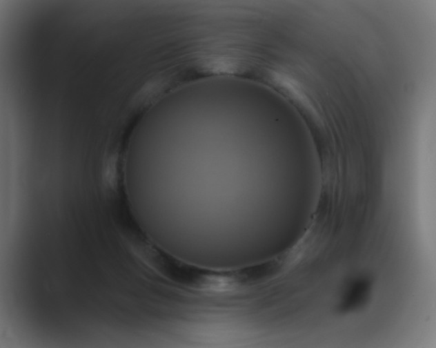X0000089960167200706291236