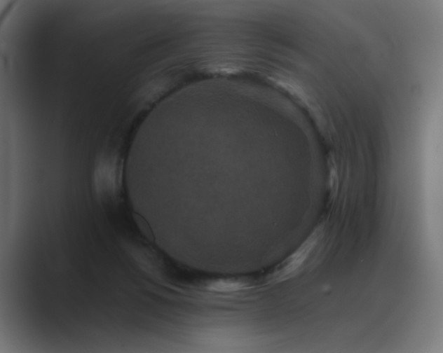 X0000089960168200706291236