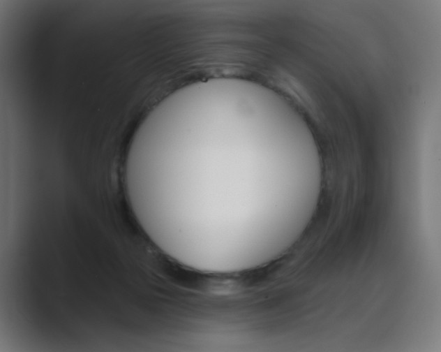 X0000089960169200706291236