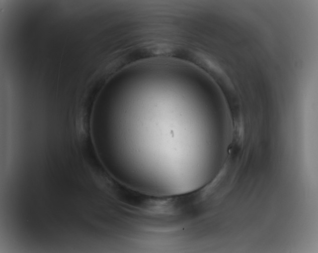 X0000089960170200706291236