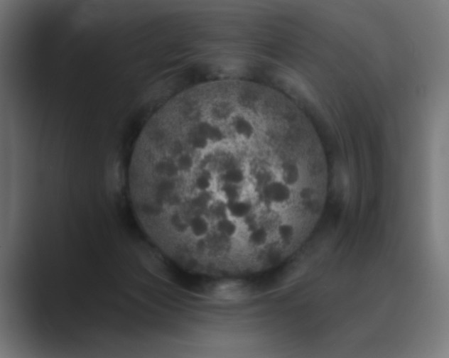 X0000089960173200706291236
