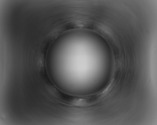 X0000089960174200706291236