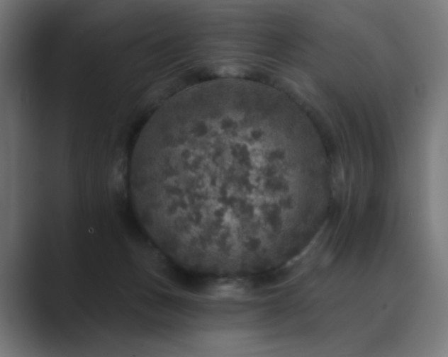 X0000089960175200706291236