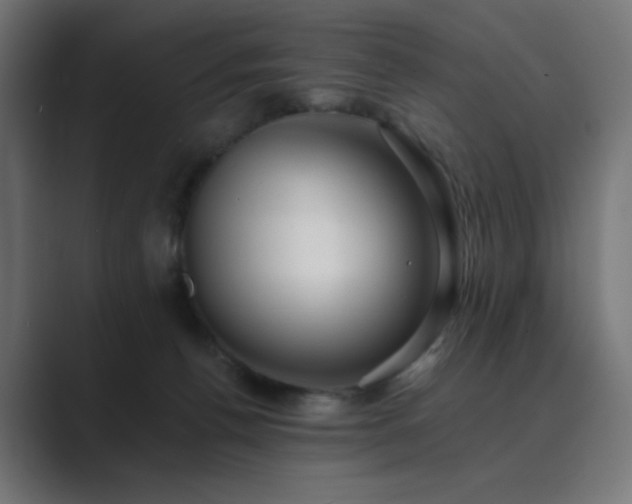 X0000089960176200706291236