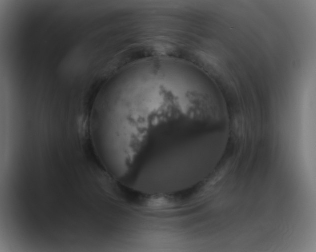 X0000089960177200706291236