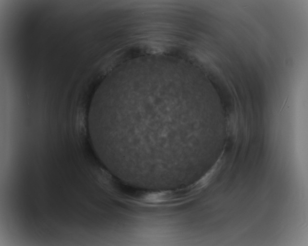 X0000089960178200706291236