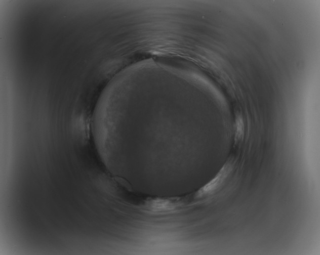 X0000089960180200706291236