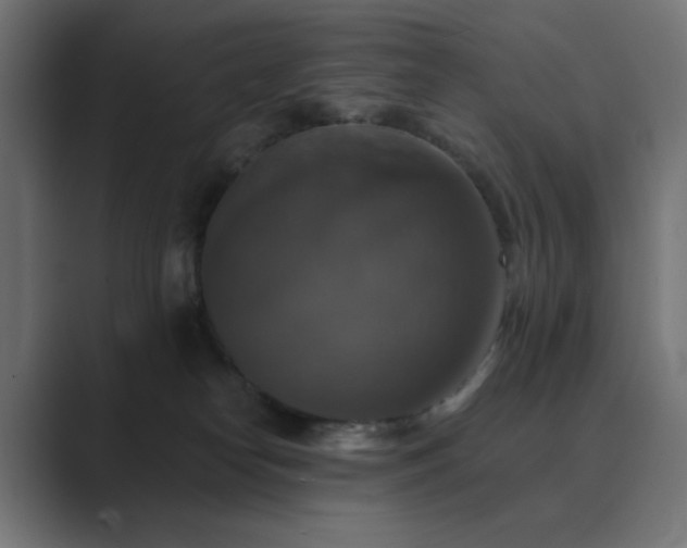 X0000089960182200706291236