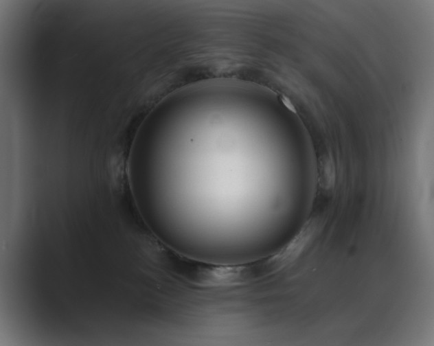 X0000089960184200706291236