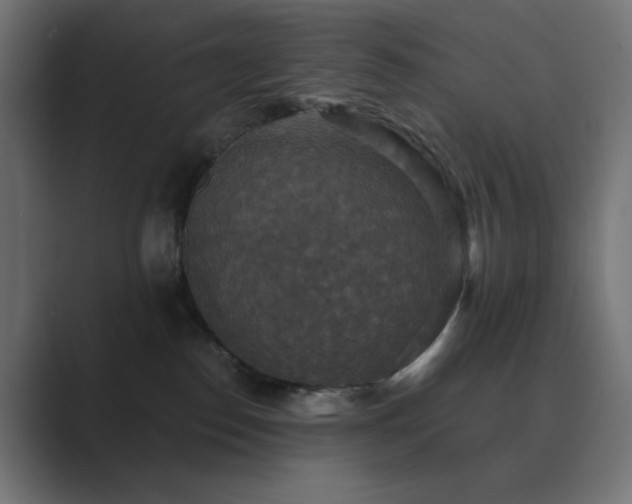 X0000089960186200706291236