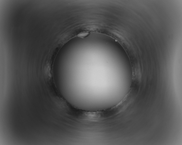 X0000089960187200706291236