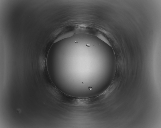 X0000089960188200706291236