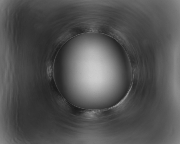 X0000089960190200706291236
