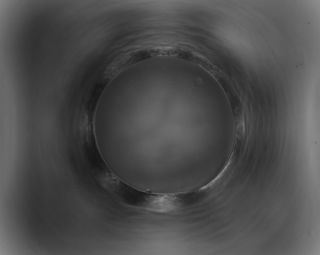 X0000089960191200706291236