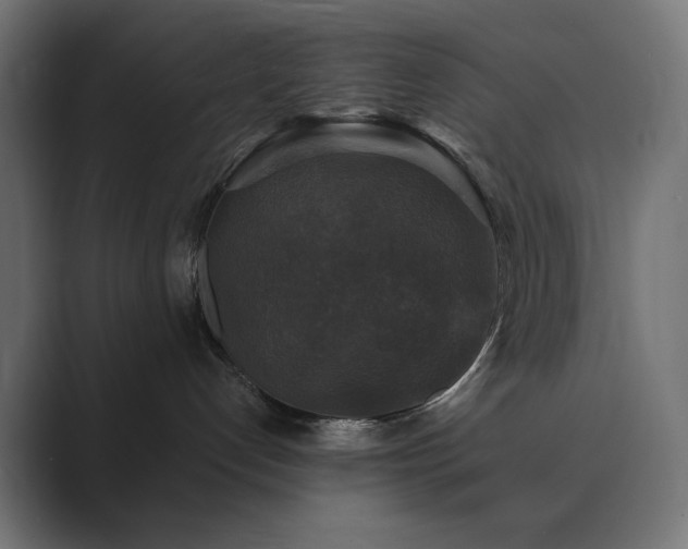 X0000089960192200706291236