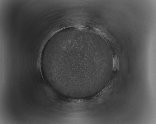 X0000089960195200706291235