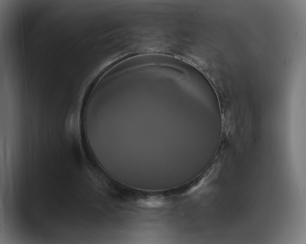 X0000089960196200706291235