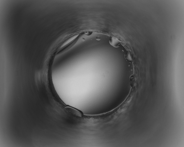 X0000089960197200706291235