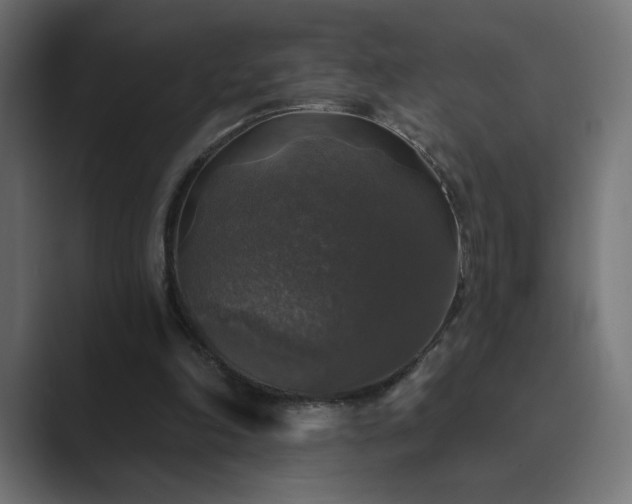 X0000089960198200706291235