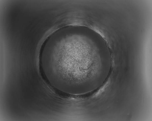 X0000089960199200706291235