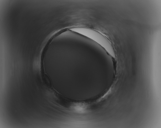 X0000089960200200706291235